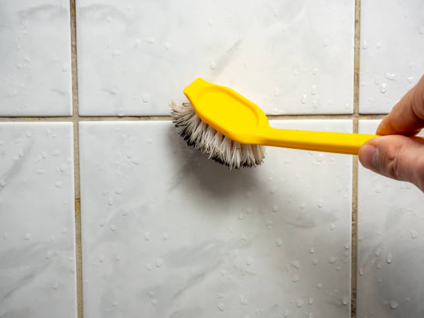 Best Commercial Mold Removal  in Bret Harte, CA