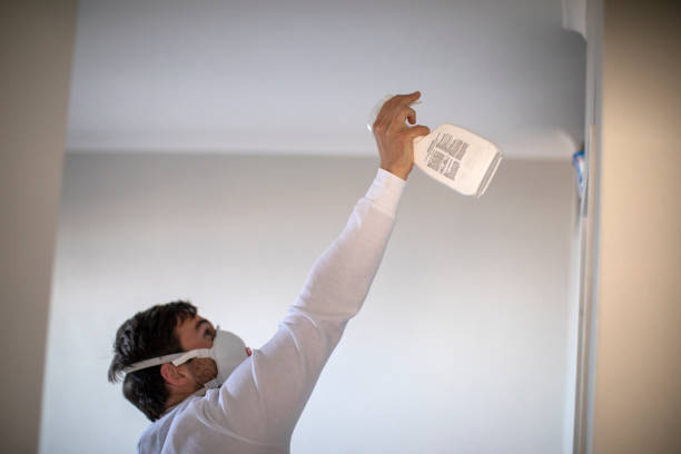 Best Mold Cleaning Services  in Bret Harte, CA