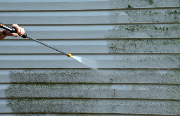 Best Local Mold Removal Service  in Bret Harte, CA