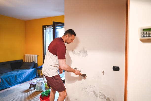 Best Fast Mold Removal  in Bret Harte, CA